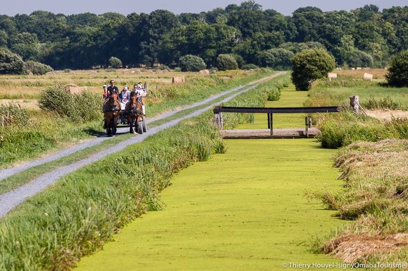 Randonnée : Les Marais de l'Aure
