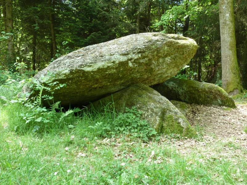 Randonnée : Boucle des Etangs