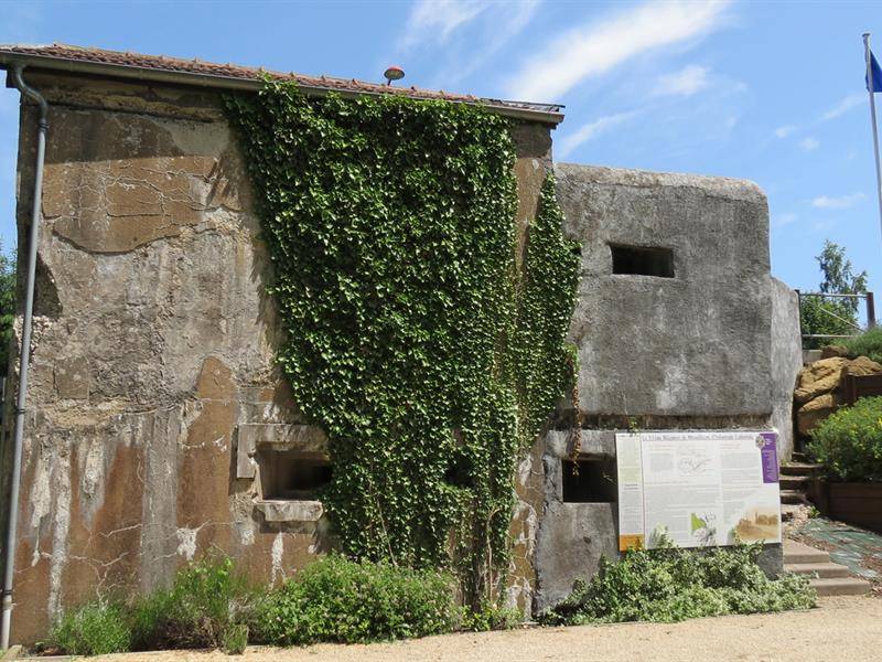 Randonnée : Route de la ligne maginot aquatique