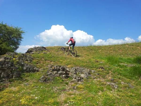 Randonnée : VTT Carladez : La forêt de Murols