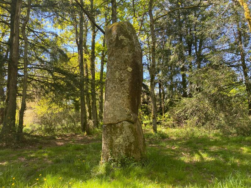 Randonnée : Le sentier de la perrière