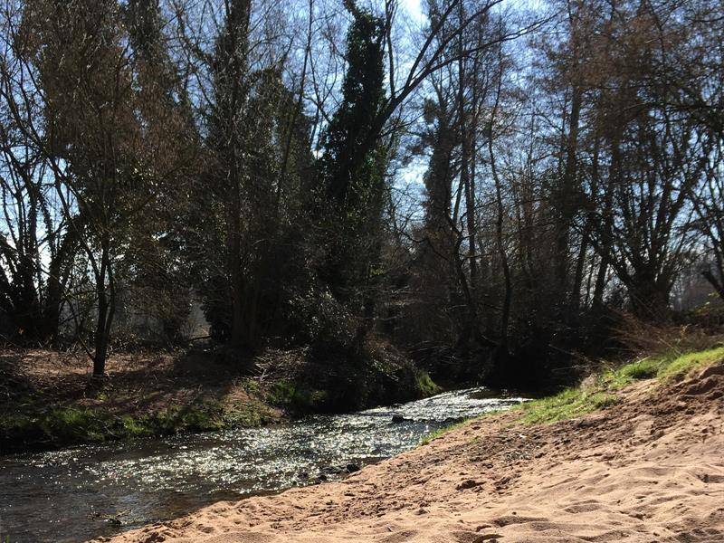 Randonnée : Circuit de randonnée des Lignes de la Lauter à Schleithal