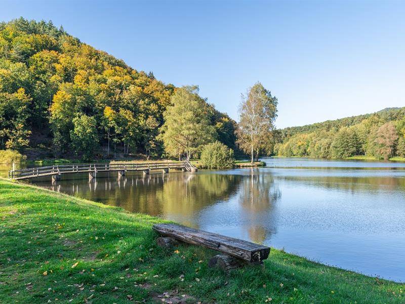 Randonnée : Circuit de randonnée entre le Château de Fleckenstein et Lembach