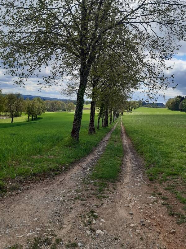 Randonnée : Circuit des 3 Puys