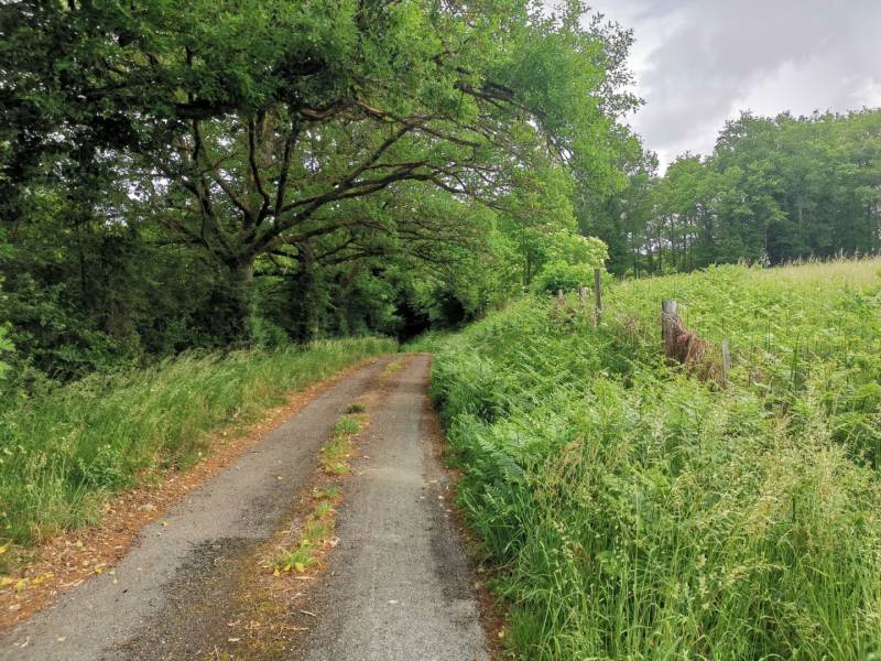 Randonnée : Boucle Locale N°50 Saint Dizier Leyrenne et la vallée du Thaurion