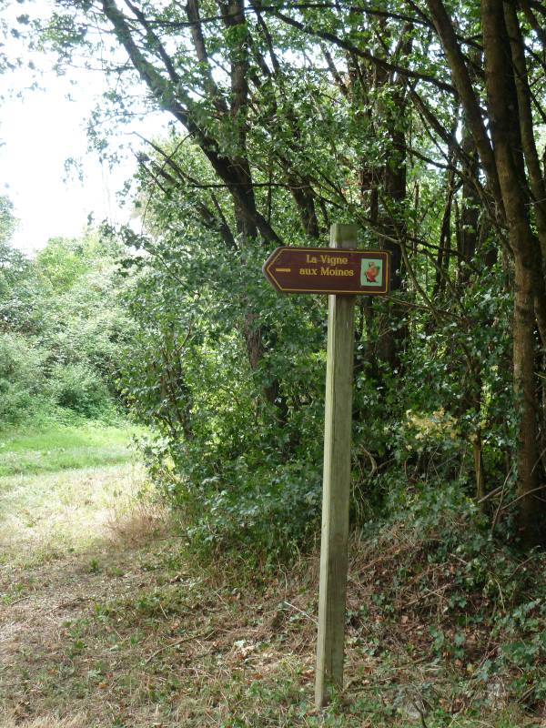 Randonnée : La Vigne aux Moines / Boucle 13