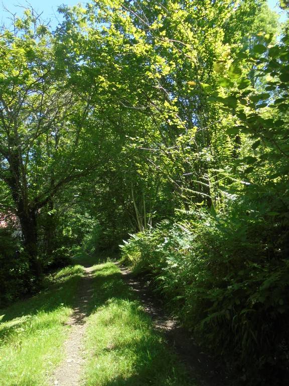 Randonnée : Grignols : Sentier historique