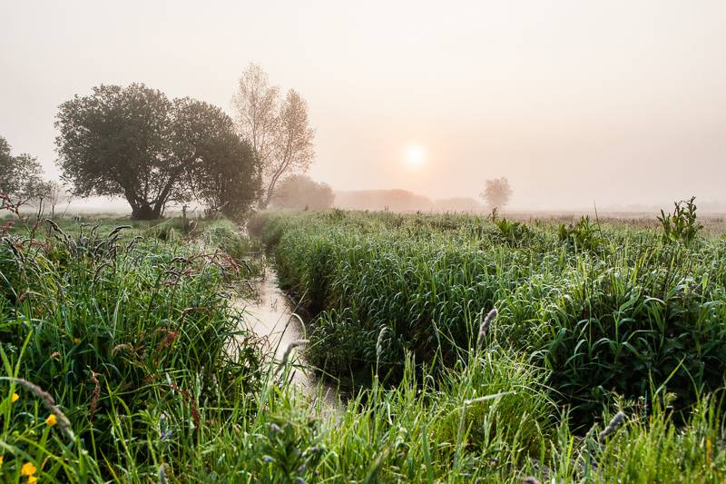 Randonnée : Eglises et marais de la Taute - Randonnée