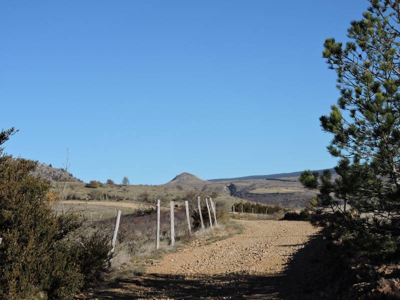 Randonnée : SENTIER DE PUECHERAL SUR LA DRAILLE DE LA MARGERIDE