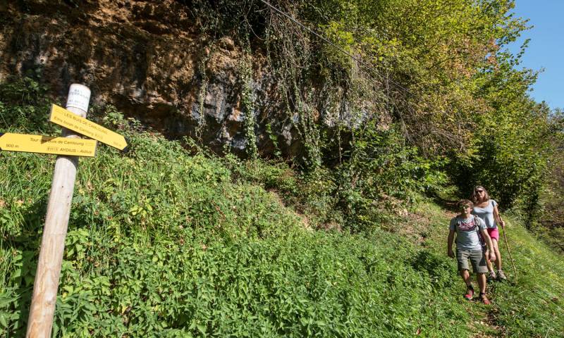 Randonnée : N°22 Chemin des buis de Camploung