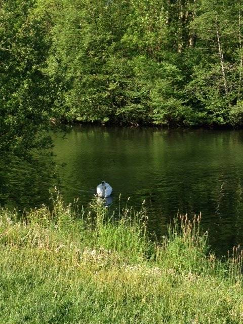 Randonnée : Voie verte des berges de L'isle