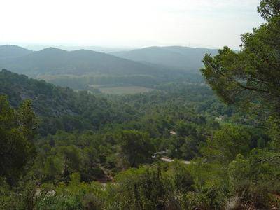 Randonnée : Roques hautes - circuit VTT 2