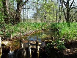 Randonnée : Le Marais de Bonnefont