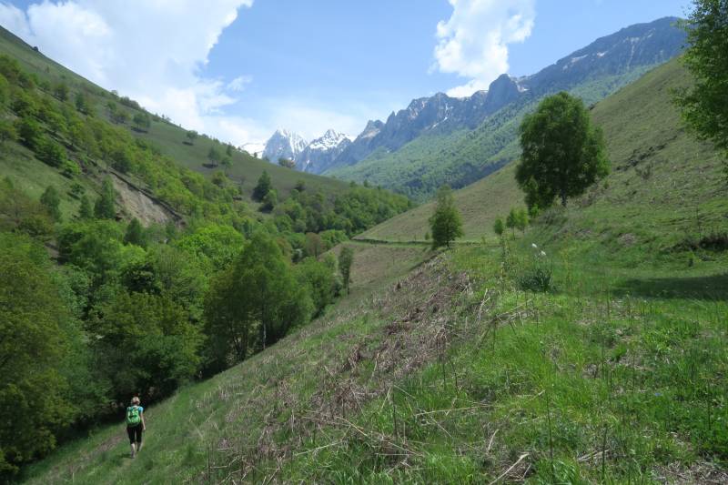 Randonnée : N°11 Aspe - Tour du Vallon