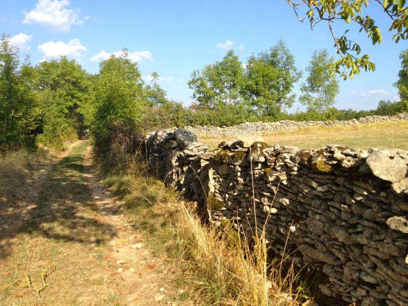 Randonnée : Circuit Les Mas de Lugagnac