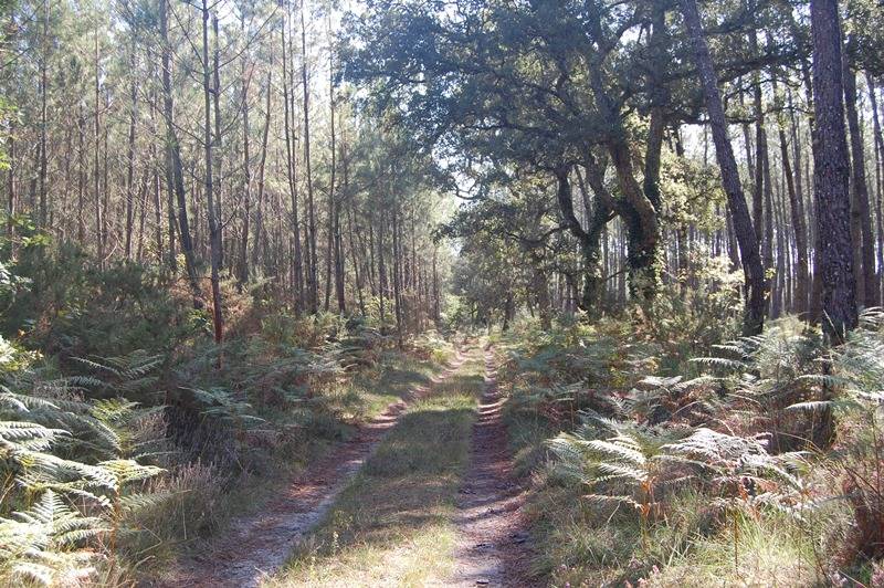 Randonnée : A Léon, circuit des airials