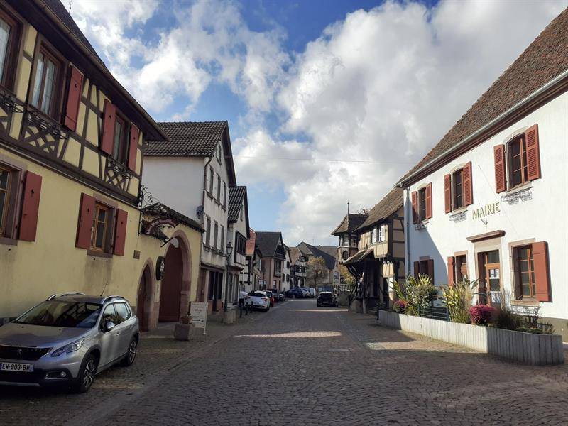 Randonnée : Circuit vélo de Sélestat au Col de Fouchy