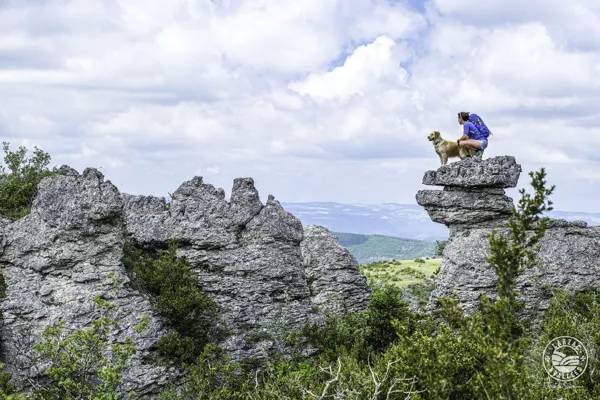 Randonnée : Randonnée Le Trail