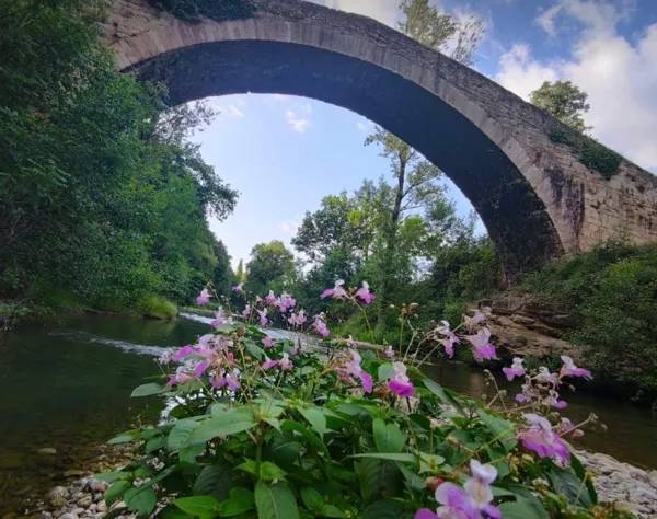 Randonnée : N°6 VTT - Les berges de la Sorgues