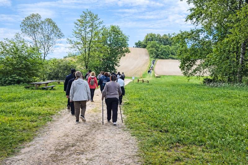 Randonnée : Boucle Die DEMA - Sur les traces de la ligne de démarcation