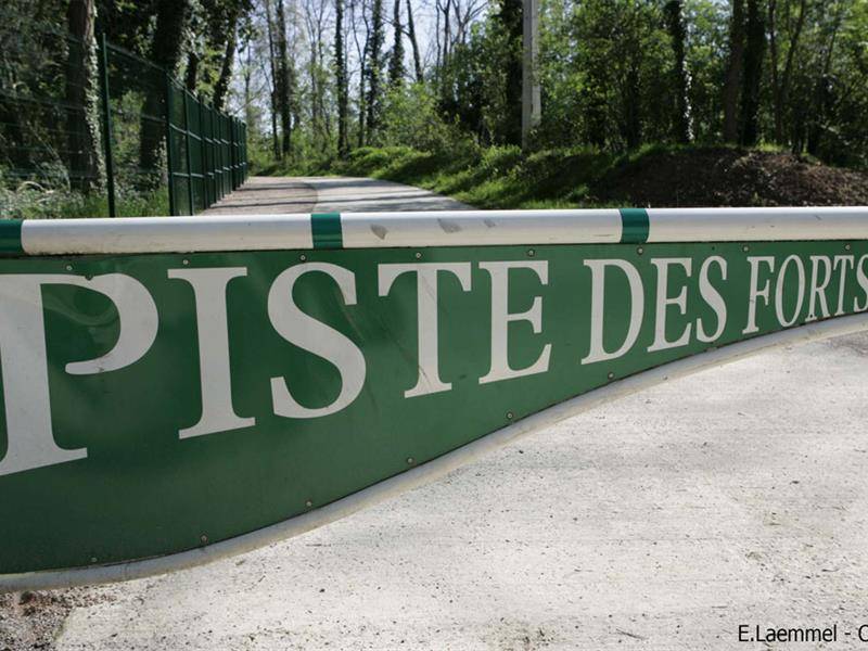 Randonnée : BR38 La piste des Forts