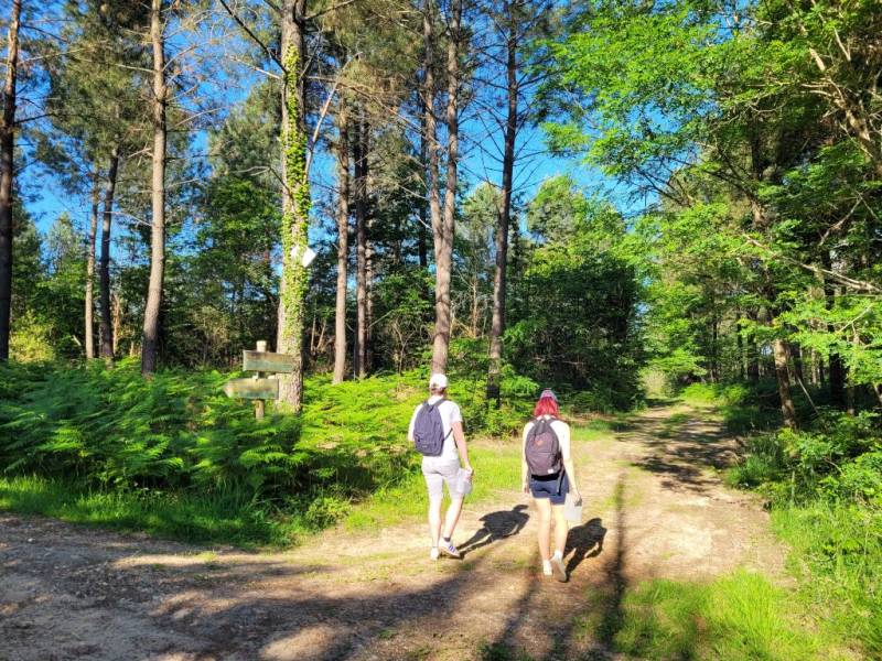 Randonnée : Boucle de la Lande
