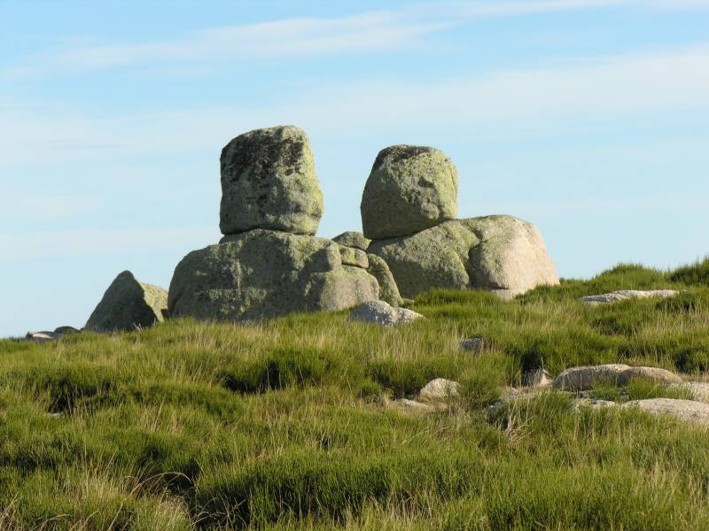 Randonnée : TOURS DU MONT-LOZÈRE ET DU CAUSSE MÉJEAN - GR DE PAYS