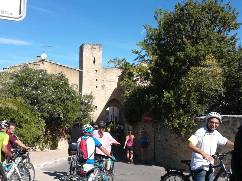 Randonnée : Au coeur de la Montagnette