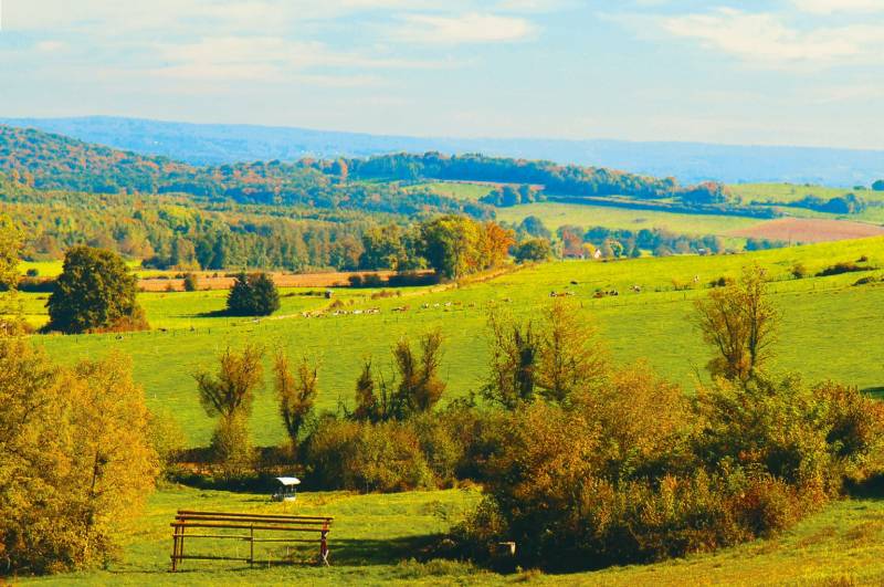 Randonnée : Circuit Les Belles Vues
