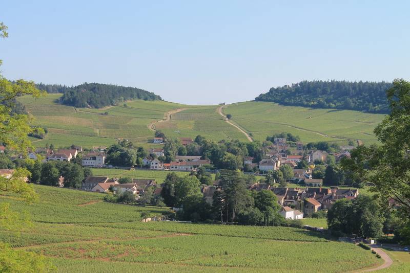 Randonnée : Circuit découverte de la Côte Chalonnaise en voiture
