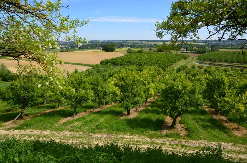 Randonnée : Monteton, sur les berges du Dropt