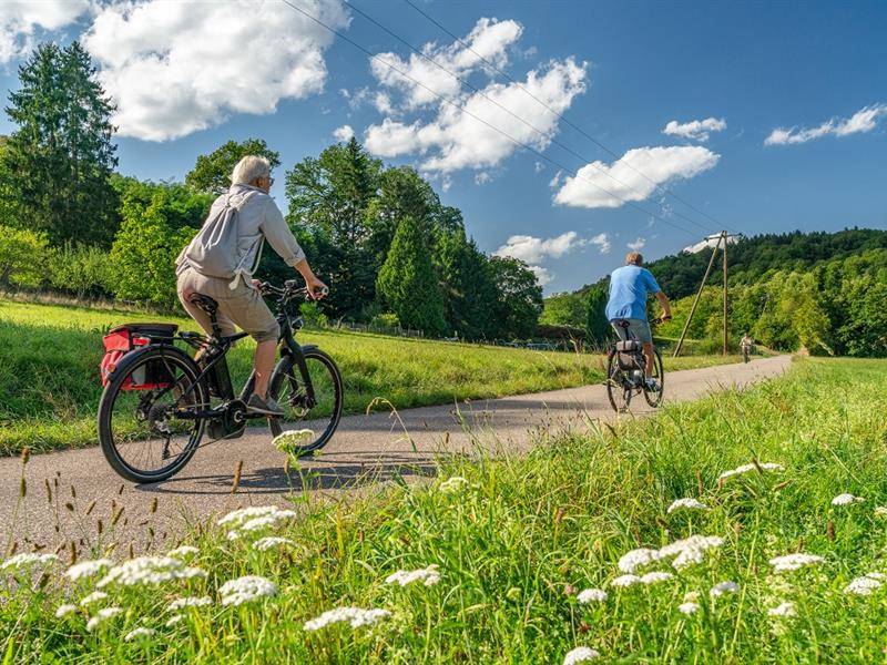Randonnée : Circuit VTT enduro court