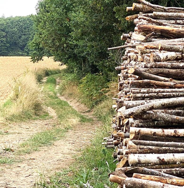 Randonnée : Boucle des Forges