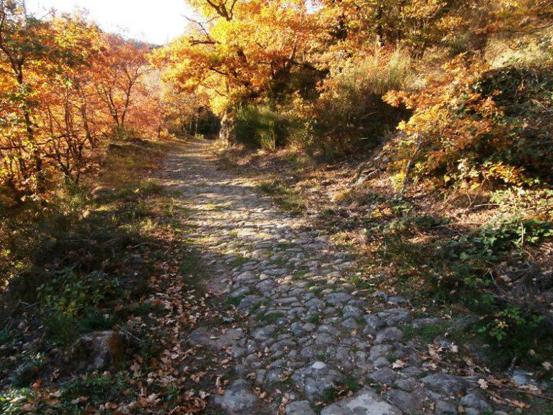 Randonnée : Circuit Uni'Vert Trail n°3 "Via Agrippa"