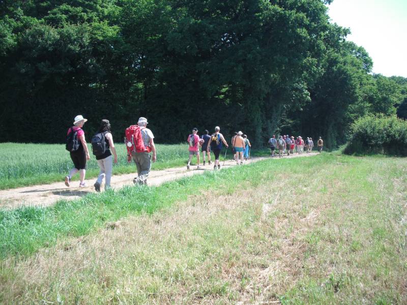 Randonnée : Les Bois de Brussey