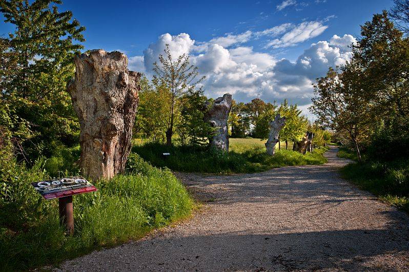 Randonnée : Base VTT sud du Perche - Echappée botanique C11