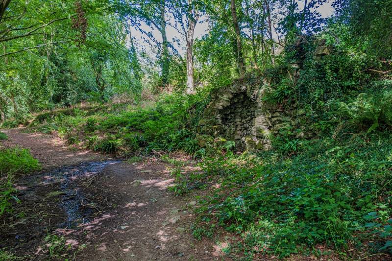Randonnée : Trail > Le bois des Vignettes