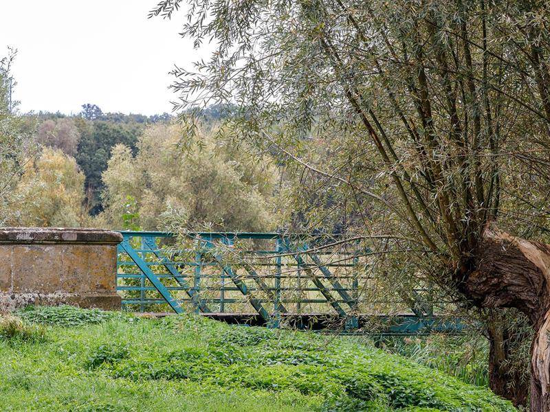 Randonnée : Colchiques et Marais