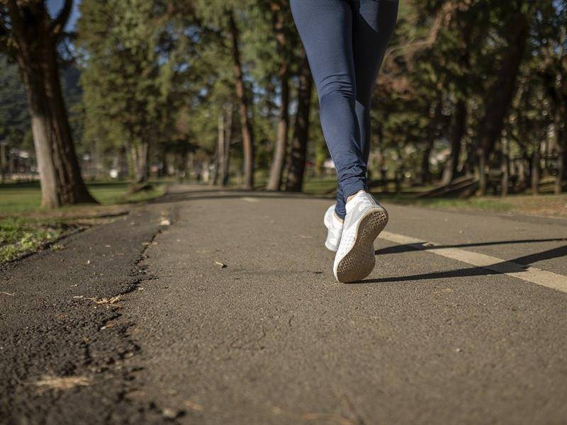 Randonnée : Parcours de santé