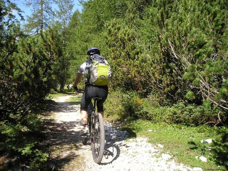 Randonnée : Circuit VTT "L'Alyse"