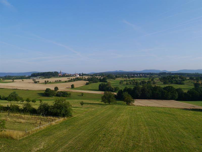 Randonnée : Circuit à vélo : Route des vergers et du souvenir