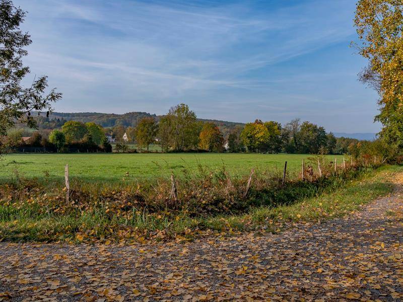 Randonnée : Circuit du Wangenberg - Marche nordique