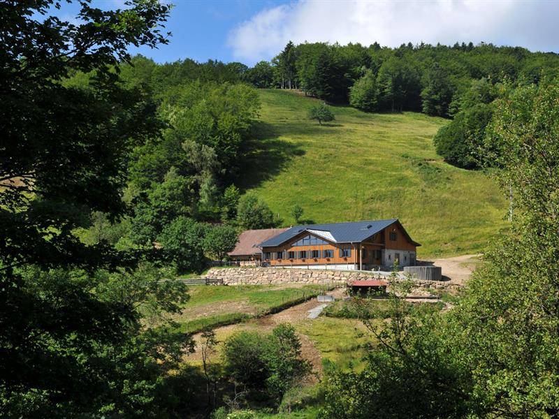 Randonnée : Balade ferme-auberge Lochberg : En compagnie des hêtres centenaires