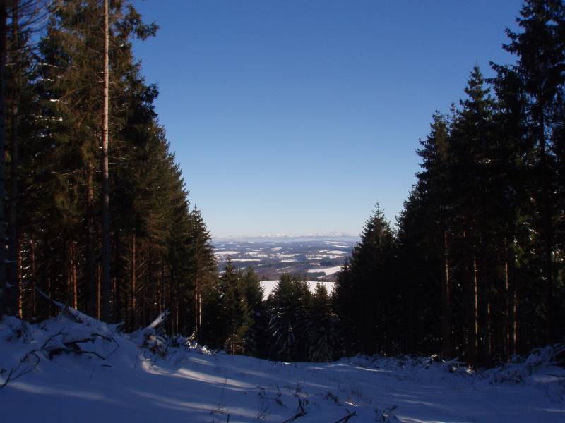 Randonnée : VTT - Gravel - Piste bleue - 7 km - circuit 48