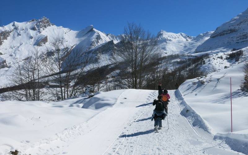 Randonnée : Circuit raquette Le Bois Noir