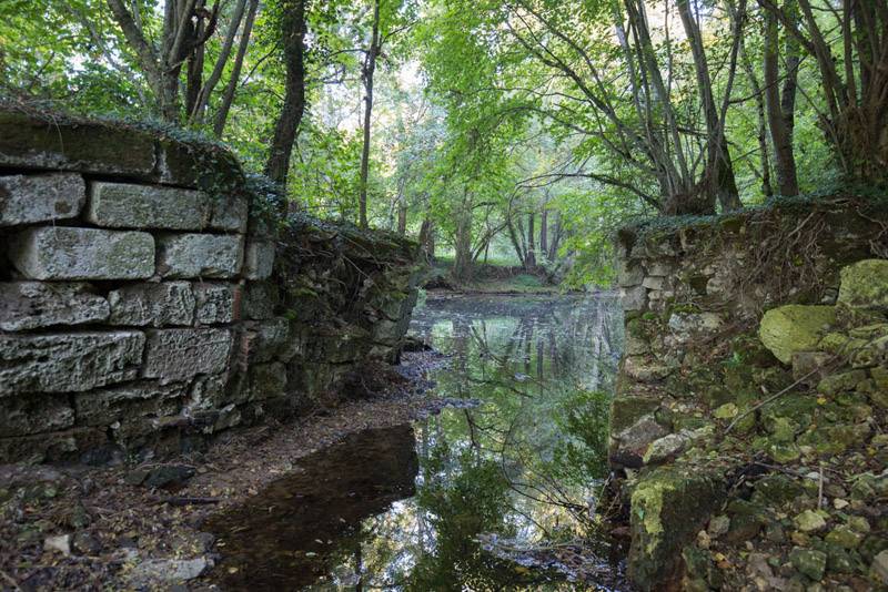 Randonnée : Balade à pied n°41 - Entre falaises et coteaux de l'Anglin
