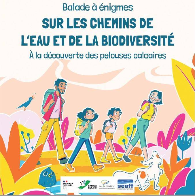 Randonnée : À la découverte des pelouses calcaires