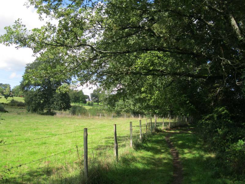 Randonnée : Sentier des trois ruisseaux