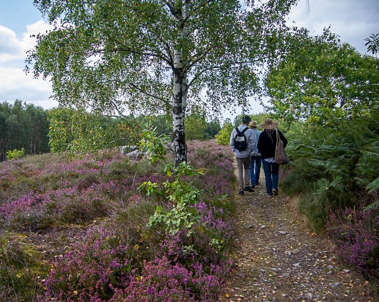 Randonnée : Boucle de Lo Sendero Dau Verdier