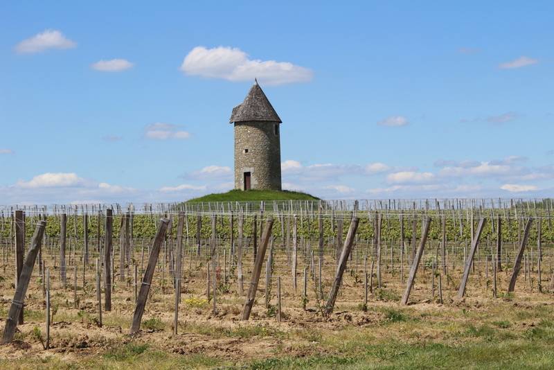 Randonnée : Boucle locale des moulins d'Eynesse